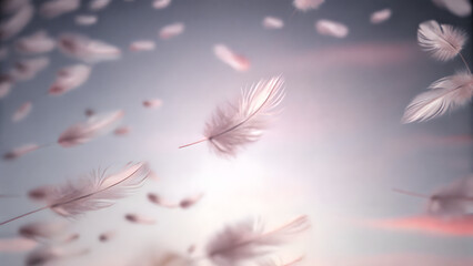 Smooth pastel backdrop with soft floating dust par