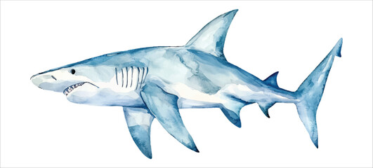 Naklejka premium shark watercolor vector illustration, underwater ocean animal art isolated on white background