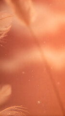 Fototapeta premium Smooth pastel backdrop with soft floating dust par