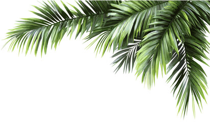 Vector illustrations Green palm leaves corner layout on transparent backgrounds, tropical foliage png, exotic leaf border, jungle plant frame, botanical greenery, isolated nature element © aura studio