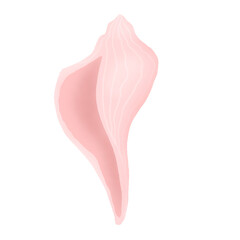 Hand drawn seashell in pink colors. Design element for print, sticker, greeting card and invitation.