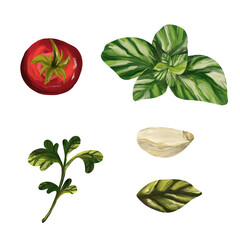 Set of vegetables on isolated white background. Digital art, oil imitation. Autumn harvest, healthy food.