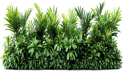 Vector greenery, tropical shrubs, cutout png file, tropical plants, green foliage, nature, greenery background, jungle plants, tropical leaves, tropical cutout images, nature clipart