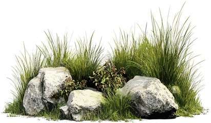 Vector isolate, grassy meadows, growth, rock formations, nature landscape, wild grass, outdoor environment, natural beauty, serene fields, rustic outdoor settings