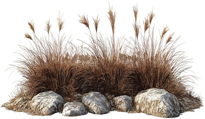 Savanna dry grass, isolated meadow, transparent background, shrubs, rocks, nature scene, wilderness, wild terrain, natural habitat, field, desert, environment, open land © aura studio