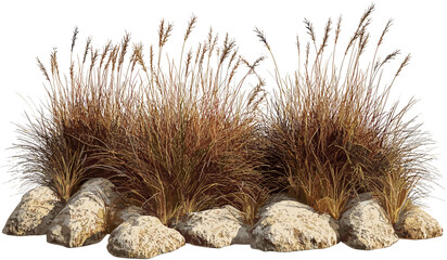 Dry savanna grass, isolated meadow, transparent background, shrubs, rocks, barren land, wilderness, natural field, plants, desert landscape, wild terrain, nature, open field © aura studio