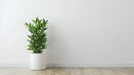 Fototapeta premium Modern Minimalist Interior With A Potted Plant