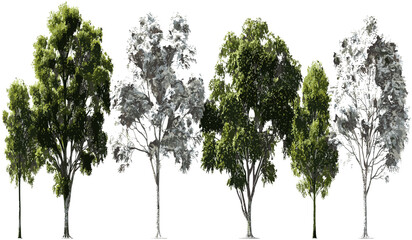 Jungle vector, large trees, white wood shapes, collection, cutout, tropical forest, nature design, green leaves, wild, forest scenery, eco-friendly art, tree silhouettes