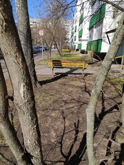 Bright benches on the adjacent territory of multi-storey buildings in early spring