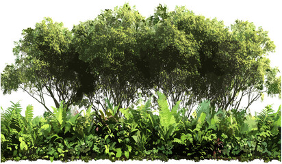 Jungle rainforest vector panorama, PNG cutout background, lush green forest, tropical jungle landscape, nature scene, vibrant foliage, wildlife, dense trees, natural beauty