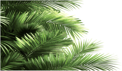 Naklejka premium Realistic palm leaves corner, vector palm shrubs, transparent background, PNG, tropical foliage, exotic plants, nature design, tropical corner, lush palm, greenery, summer vibes