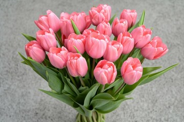 Obraz premium Pink Tulip Bouquet on Gray Background