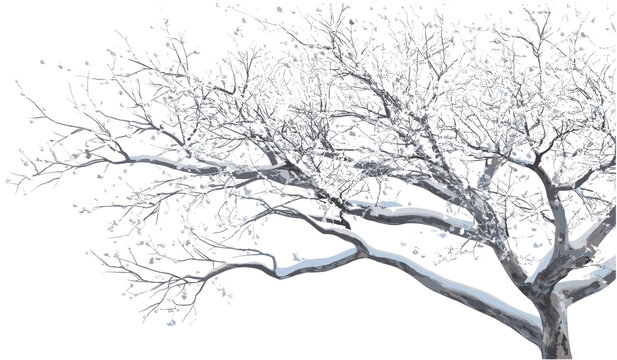 Snowy winter tree branches vector, frost-covered tree branches, isolated PNG background, winter season, snow-covered branches, cold weather, frozen landscape, wintertime theme