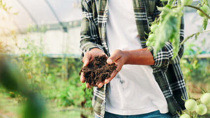 Hands, farmer and check soil in greenhouse for quality assurance, fertility and dirt for...