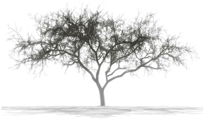 Vector trees cutout soft shadow, transparent backgrounds, png die, shade, leaf silhouette, nature illustration, isolated plants, minimalist design, eco-friendly graphics