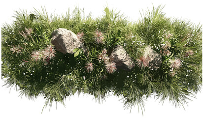 Vector blooming flowery grassland, top view, meadow flowers, wildflower field, green pasture, spring floral pattern, nature background, seamless botanical texture, summer landscape