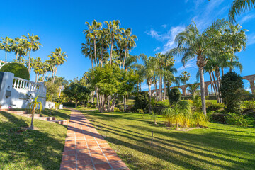 Fototapeta premium Parque tropical con palmeras y acueducto histórico en un día soleado