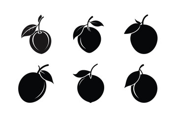 Sapodilla – Manilkara zapota silhouette vector illustration