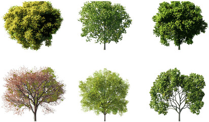 Fototapeta premium Vector life trees top view, seasons change, transparent background PNG, seasonal landscape, outdoor, nature, foliage, seasonal shift, nature’s changes, tree silhouettes, green foliage