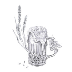 Big mug with beer, hops and barley ears, Isolated pencil illustration of alcoholic drink for restaurant pub interior design, bar menu, drink labels, poster printing