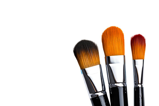 Professional makeup brushes on black, beauty tools, cut out transparent