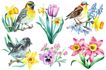 Obraz premium Yellow and Brown Birds with Tulips, Daffodils, and Bluebells