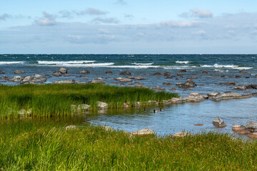 Coastline wetland ducks rocky shoreline ocean waves Baltic Sea Gotland island Visby Sweden horizon blue sky sunshine wildlife ecosystem background