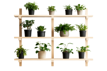 Shelving unit displaying houseplants, home decor elements, cut out transparent