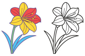 Beautiful Colorful Flower and Outline Drawing for Coloring Book Pages