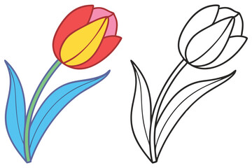 A Colorful Tulip and Its Outline Drawing for Coloring Pages Spring Flower Illustration