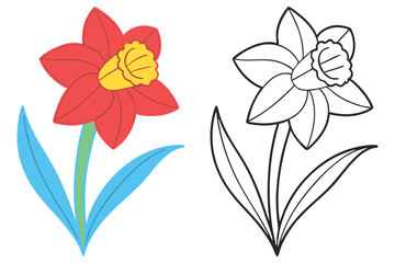 A Colorful Red and White Daffodil Flower with Blue Leaves Illustration for Coloring