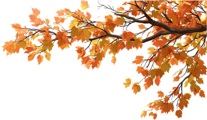 Vibrant autumn tree branches, orange and yellow leaves, transparent background, png, fall season, autumn foliage, nature background, seasonal tree, colorful leaves, natural backdrop