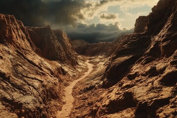 Obraz premium A winding path through a dramatic desert canyon under a stormy sky.
