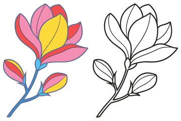 Colorful Magnolia Flower and Line Art Drawing Blossom Spring Nature Botanical Illustration