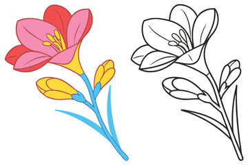 Beautiful Colorful Flower and its Line Art Outline Illustration a Perfect Image for Coloring Books Botanical Drawings and Floral Designs