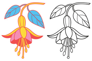 Vibrant Fuchsia Flower Illustration with Coloring Page Option  Beautiful Botanical Design Bright Pink Yellow and Blue
