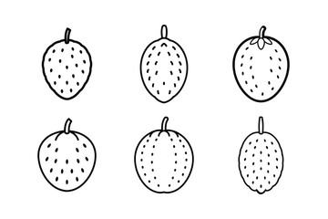 Soursop – Annona muricata line art vector illustration