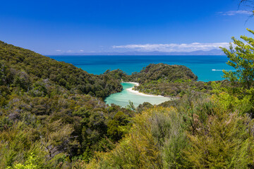 Naklejka premium Abel-Tasman-Nationalpark - Frenchman Bay