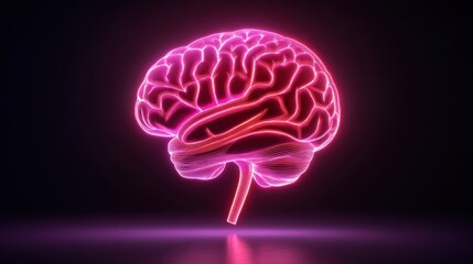 Glowing pink brain anatomy illustration