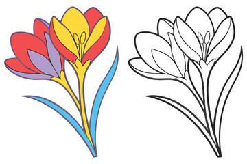 Colorful Crocus Flowers Illustration with Coloring Page Design for Springtime Fun