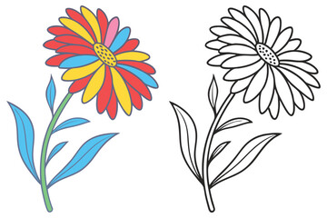 Vibrant Colorful Flower and Its Outline Drawing A Delightful Illustration of a Blooming Daisy