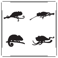 Chameleon silhouette, Chameleon illustration , Chameleon clipart, Chameleon vector , Chameleon icon , black Chameleon, Chameleon illustration on white background,