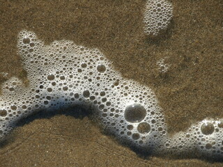 Ecume de mer sur le sable en gros plan