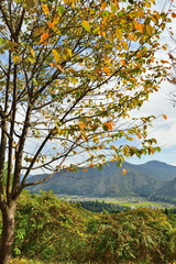 上原高原展望所からの眺望（新潟県）