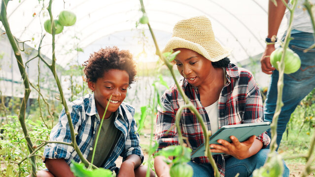 Black woman, child and plants in greenhouse, learning and family with tomato, crops or sustainable farm. African mother, boy and teaching for inspection, tablet and fruit development with agriculture - Powered by Adobe