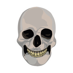 calabera or skull illustration for halloween and other spooky backgrounds