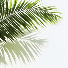 Obraz premium Generic Overlapping Palm Moment Aesthetic Tropical