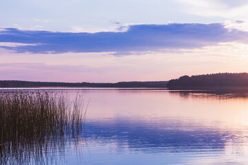 Fototapeta premium Serene view of a calm lake surrounded by reeds at sunset