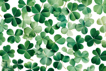 Shamrock leaves spread across black backdrop, lucky green clovers, cut out transparent