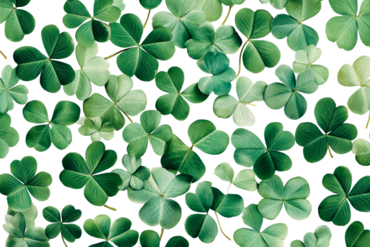 Shamrock leaves spread across black backdrop, lucky green clovers, cut out transparent